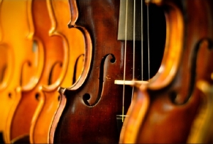 Областная методическая секция преподавателей оркестровых струнных инструментов